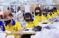 Công nhân làm việc tại một công ty may ở TP.HCM. Ảnh: NGUYỆT NHI