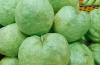 Những thực phẩm rất cần cho người bị đậu mùa khỉ