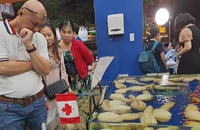 Ốc vòi voi vàng Canada nặng 2 kg, giá 2,5 triệu đồng/kg bán tốt mùa tết