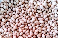 Ăn 7 hạt đậu phộng mỗi ngày, chuyện gì xảy ra?