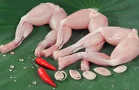 Ăn cóc để chữa còi xương: Bác sĩ dinh dưỡng lắc đầu lo sợ