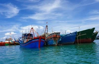 Xử phạt vụ 1 tàu cá 'cõng' 2 thiết bị giám sát hành trình của 'tàu ma'