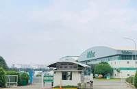 Rầm rộ tuyển nhân sự bất động sản công nghiệp