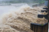 Nước thượng nguồn đổ xuống nhanh, thủy điện ở Phú Yên xả lũ