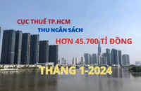 Đầu năm 2024, Cục Thuế TP.HCM thu ngân sách đạt hơn 45.700 tỉ đồng