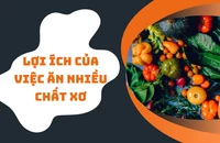 Lợi ích của việc ăn nhiều chất xơ 