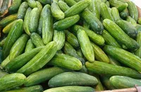 Mối liên hệ giữa dưa chuột và bệnh tiểu đường