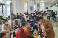Một số nhóm người ở Đà Nẵng tạo sốt đất ảo vùng ven để trục lợi
