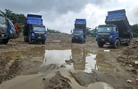 ‘Tối hậu thư’ cho bãi xà bần không phép mọc trên đất công ở Đà Nẵng