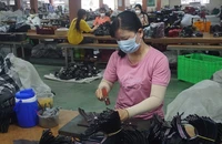 Mức đóng bảo hiểm tai nạn lao động tự nguyện từ ngày 1-1-2025 ra sao?