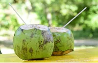 Sốt xuất huyết không được uống nước dừa?