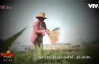 Yêu cầu VTV giải trình về phóng sự 'cây chổi quét rau'