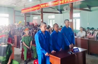 Nhóm lâm tặc chặt phá rừng ở Sa Thầy lãnh án