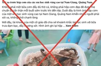 Thực hư ‘hộp cơm với món thịt chuột’ của học sinh miền núi?