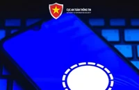 Cảnh báo chiến dịch lừa đảo trên nền tảng nhắn tin, gọi điện miễn phí
