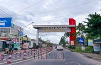 Chấp thuận cho Hậu Giang chuyển 15,5 ha đất lúa để làm khu đô thị mới