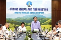 Đề xuất lập Hội đồng lúa gạo quốc gia