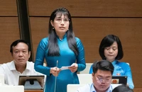 Đại biểu Quốc hội: Nhiều tàu cá nằm bờ nhớ về thời hoàng kim trong thổn thức
