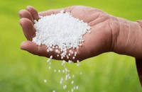 Trung Quốc vẫn hạn chế xuất khẩu phân bón Urê, cơ hội cho Việt Nam