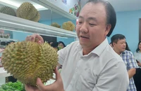 Tinh hoa trái cây Việt, khát vọng trở thành 'giỏ trái cây của thế giới'