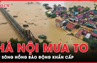 Hà Nội mưa trắng trời, lũ trên sông Hồng vượt ngưỡng báo động 2, cảnh báo khẩn cấp