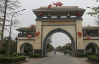 Nghệ An: Bỏ tên Đôi Hậu, gợi ý tên mới Quỳnh An sau sáp nhập, xã Quỳnh Đôi đang họp bàn