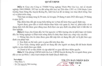 Nghi giả chữ ký Chủ tịch UBND tỉnh Gia Lai ra quyết định cấp gần 400 ha đất trồng rừng