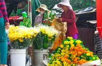 Tết của xóm lao động Việt ở Campuchia: Mong đoàn viên, trọng nghĩa tình