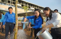 Thành đoàn TP.HCM phát động tết trồng cây xuân 2025