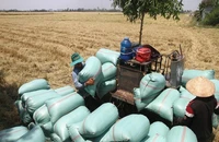 An Giang kiến nghị Thủ tướng cho tiếp tục xuất khẩu gạo