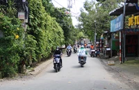 Hơn 1.300 tỉ để mở rộng 1,7km đường Tân Thới Hiệp 21 quận 12