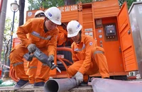 Tập đoàn Điện lực Việt Nam kiểm tra công tác cấp điện dịp lễ 30-4 tại TP.HCM