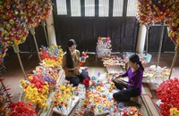Thăm làng hoa giấy 300 năm tuổi ở Huế dịp Tết