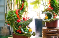  Cây bonsai hình rồng 'không đụng hàng', liên tục 'cháy đơn' dịp Tết 