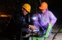 Nhà mạng tặng data miễn phí cho người dân bị ảnh hưởng sau bão số 3