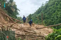 Nhà mạng tặng data miễn phí cho người dân bị ảnh hưởng bởi bão số 3 