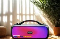 Loa Di Động Nhỏ Gọn Cho Giảng Dạy Và Giải Trí Soundmax Sb-208: Loa Di Động Kháng Nước, Đèn Rgb Cực Chất