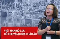 Những nỗ lực nổi bật của Việt Nam nhằm gỡ thẻ vàng của Châu Âu