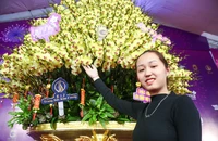 Hoa lan hồ điệp giá cả tỉ đồng phục vụ Tết Nguyên đán ở Hà Nội