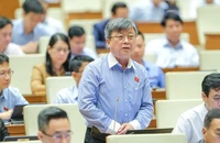 “Rừng luật…”
