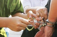 Phó Chủ tịch UBND tỉnh An Giang Trần Anh Thư bị bắt