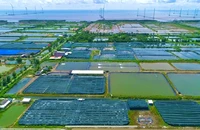 Chủ tịch Phạm Văn Thiều: Bạc Liêu phát triển hướng ra biển, làm giàu từ kinh tế biển