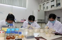 Nghiên cứu công nghệ nano tại Khu công nghệ cao TP.HCM.