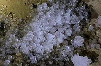Mưa đá ở Đắk Lắk, nhiều nông dân trắng tay