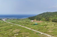 Chính quyền địa phương sau sáp nhập tỉnh, xã, bỏ cấp huyện dự kiến ra sao?