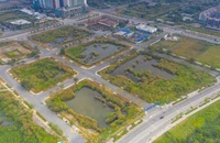 TP.HCM sẽ đấu giá hàng loạt lô đất ở khu đô thị Thủ Thiêm
