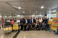 Nhân viên công ty cây xanh TP.HCM và Huế được chi viện khắc phục hậu quả bão số 3 tại Hà Nội, Hải Phòng