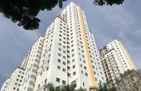 TP.HCM: Gỡ vướng 80 dự án, cấp sổ hồng cho hơn 38.000 căn nhà