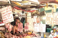 Giá heo Việt Nam tăng nóng, heo từ Thái Lan bắt đầu 'chạy' vào
