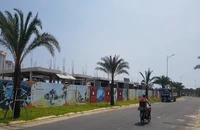 8 căn biệt thự của Dana Home Land phải dừng thi công 30 ngày